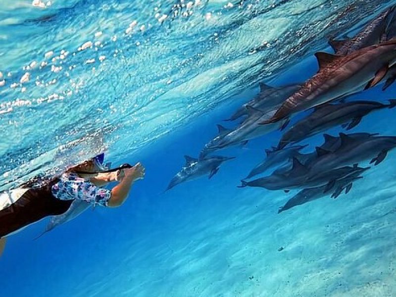 Marsa Alam Mare